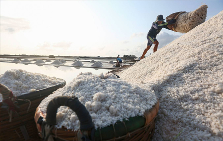 aio_gallery_image_aio-widget-aio_gallery_image-2070009-template